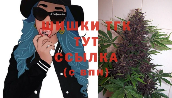 mdma Няндома