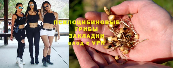 бошки Нягань