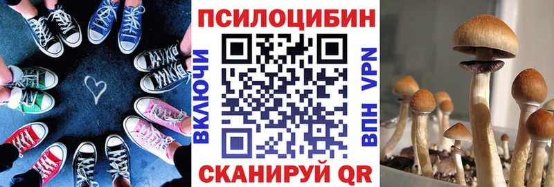 Псилоцибиновые грибы Psilocybe  Купить  Покров 